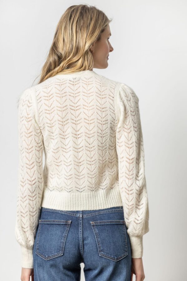 Full Sleeve Cardigan Sweater - Image 11