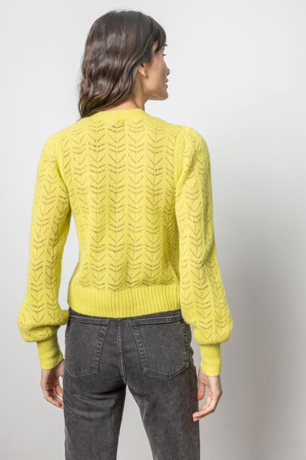 Full Sleeve Cardigan Sweater - Image 3