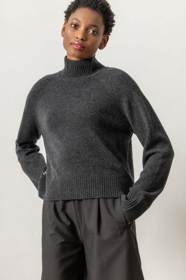 Full Sleeve Turtleneck Sweater - Image 8