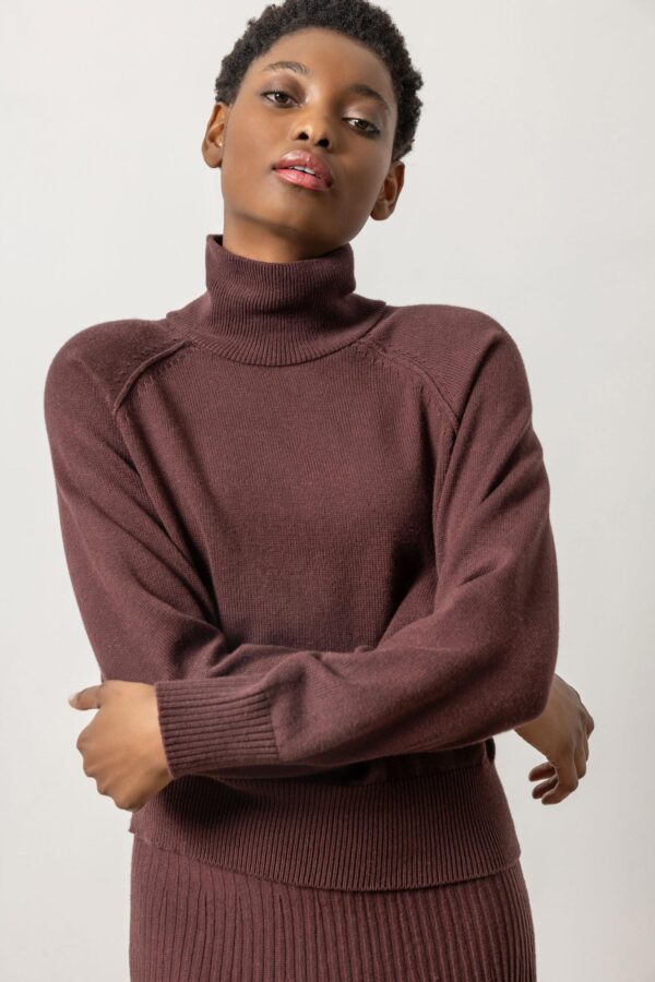 Raglan Turtleneck Sweater - Image 12